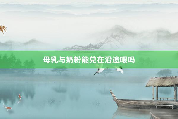 母乳与奶粉能兑在沿途喂吗