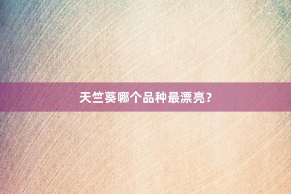 天竺葵哪个品种最漂亮？